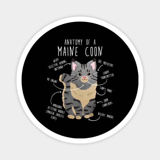 Maine Coon Cat Anatomy Magnet by Psitta